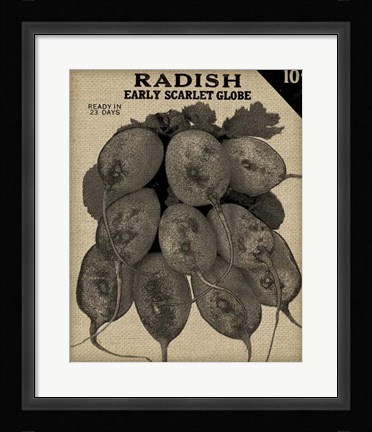 Framed Vintage Seed Pack I Print