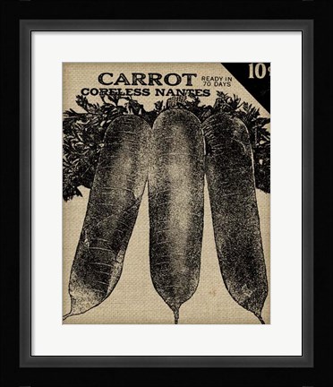 Framed Vintage Seed Pack II Print