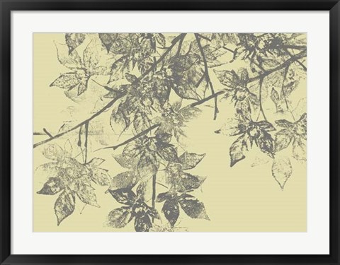 Framed Grey Leaves II Print