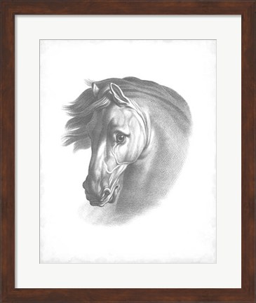 Framed Equestrian Blueprint I Print