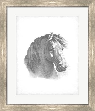 Framed Equestrian Blueprint II Print
