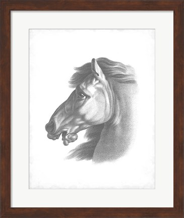 Framed Equestrian Blueprint III Print