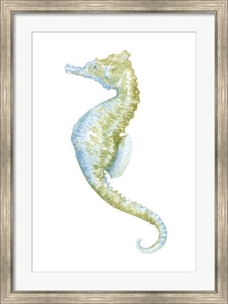 Framed Watercolor Seahorse II Print