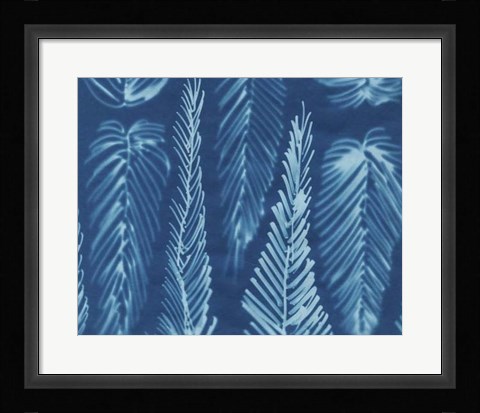 Framed Cyanotype No.8 Print