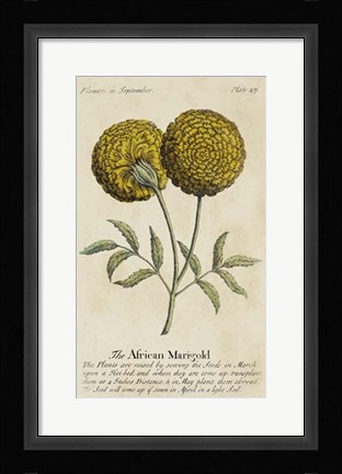 Framed Gardener's Guide V Print