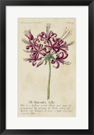 Framed Gardener's Guide VII Print