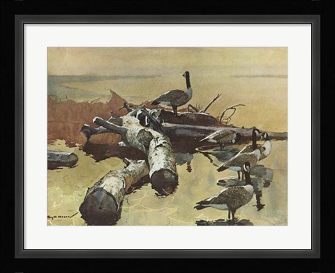 Framed Geese on the Great Flyway Print