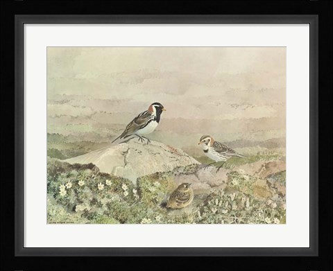 Framed Gathering Print