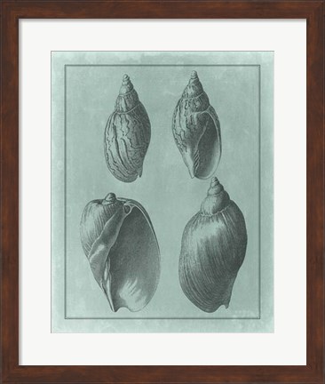 Framed Spa Shell Collection III Print
