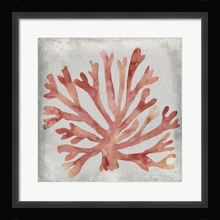Framed Watercolor Coral III Print