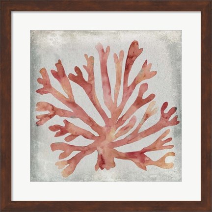 Framed Watercolor Coral III Print