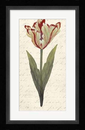 Framed Twin Tulips I Print