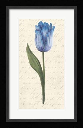 Framed Twin Tulips III Print