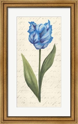 Framed Twin Tulips IV Print