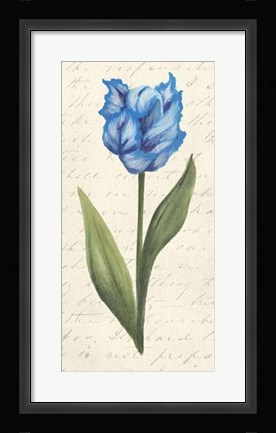 Framed Twin Tulips IV Print