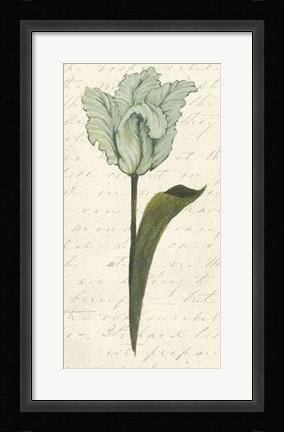 Framed Twin Tulips V Print