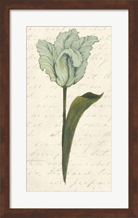 Framed Twin Tulips V Print