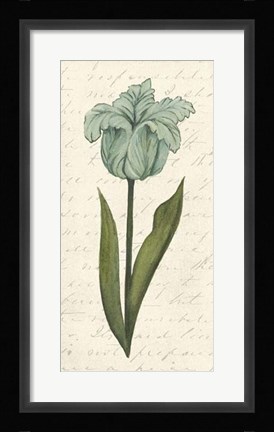 Framed Twin Tulips VI Print