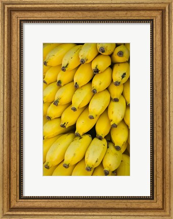 Framed Oman, Dhofar Region, Salalah. Local bananas for Sale Print
