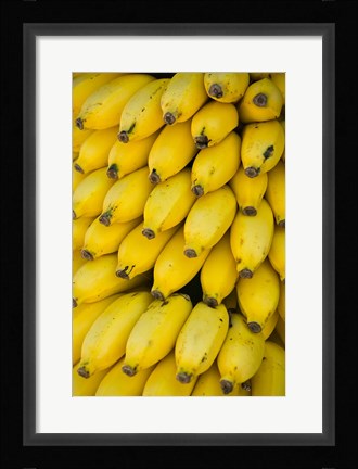Framed Oman, Dhofar Region, Salalah. Local bananas for Sale Print