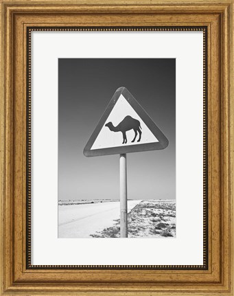Framed Qatar, Al Zubarah. Camel Crossing Sign-Road to Al-Zubarah NW Qatar Print