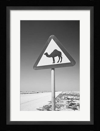 Framed Qatar, Al Zubarah. Camel Crossing Sign-Road to Al-Zubarah NW Qatar Print
