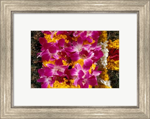Framed Asia, Singapore. Flowers for sale Print