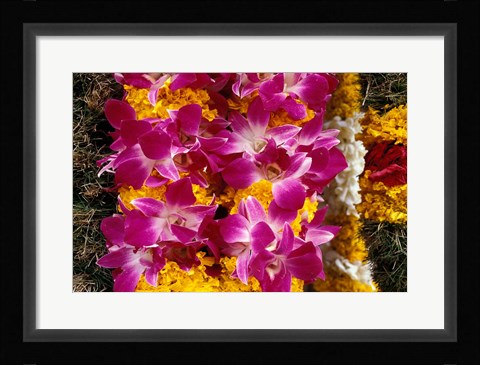 Framed Asia, Singapore. Flowers for sale Print