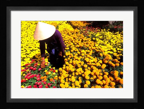 Framed Beautiful Graphic with Woman in Straw Hat and Colorful Flowers Vietnam Mekong Delta Print