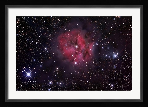 Framed Cocoon Nebula Print