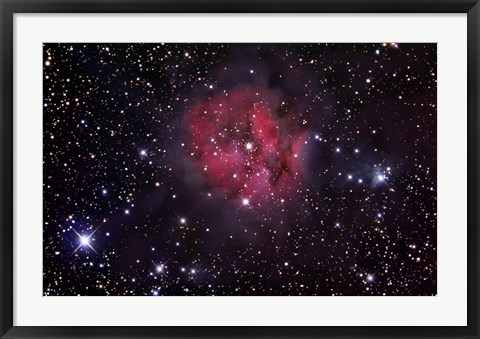 Framed Cocoon Nebula Print
