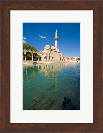 Framed Halil-ur Rahman Mosque, Pool of Abraham, Urfa, Turkey Print