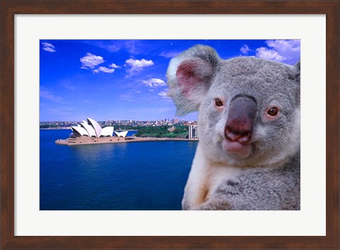 Framed Portrayal of Opera House and Koala, Sydney, Australia Print