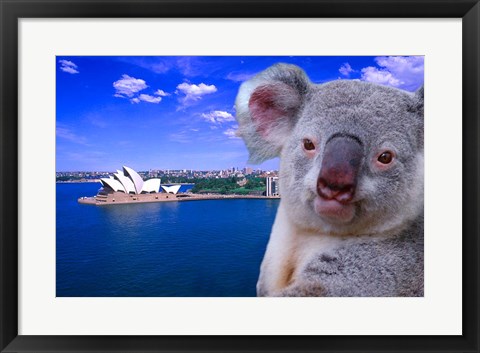 Framed Portrayal of Opera House and Koala, Sydney, Australia Print