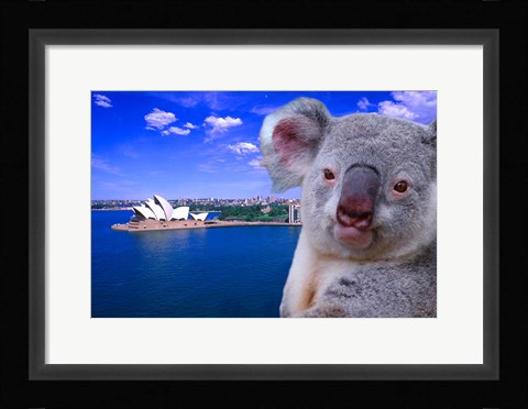 Framed Portrayal of Opera House and Koala, Sydney, Australia Print