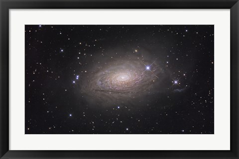 Framed Sunflower Galaxy Print