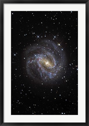 Framed Southern Pinwheel Galaxy Print