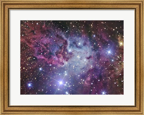 Framed Fox Fur Nebula Print