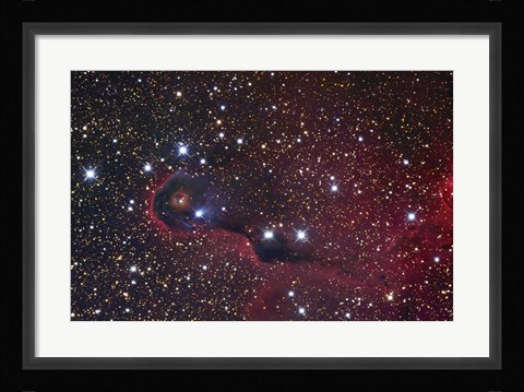 Framed Elephant Trunk Nebula Print