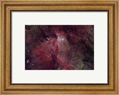 Framed Emission Nebula in Ara (NGC 6188) Print