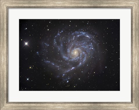 Framed Pinwheel Galaxy Print