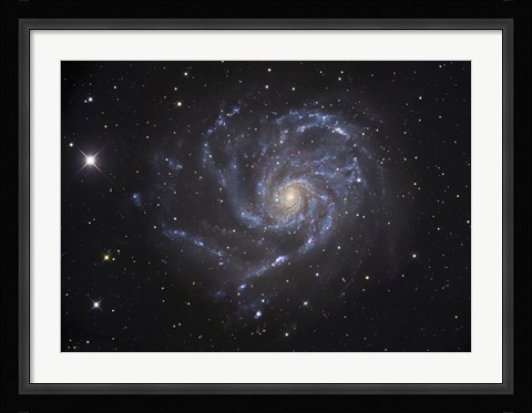 Framed Pinwheel Galaxy Print