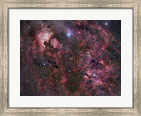 Framed Northern Cygnus Print