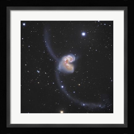 Framed Antennae Galaxies in the constellation Corvus Print