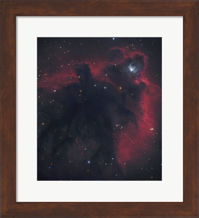 Framed Cometary Globule in Orion Print