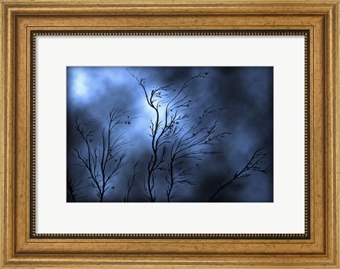 Framed Stormy Skies Print