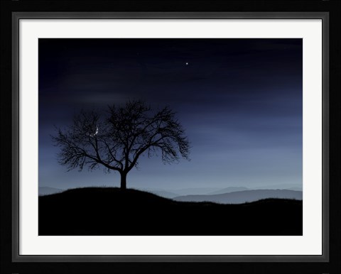 Framed Tree and the Moon Print