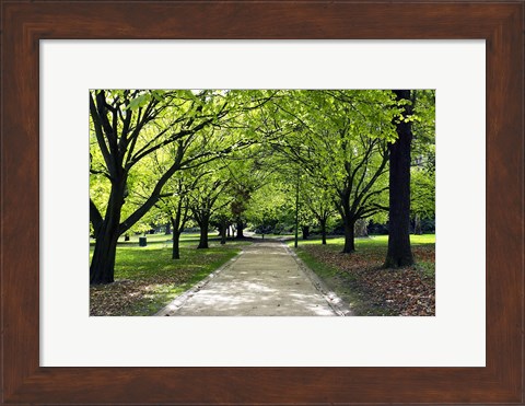 Framed Pathway and Trees, Kings Domain, Melbourne, Victoria, Australia Print