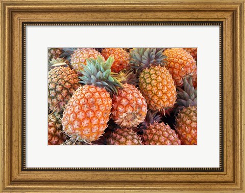 Framed Pineapples, Sunshine Coast, Queensland, Australia Print