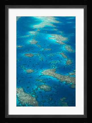 Framed Undine Reef, Great Barrier Reef, Queensland, Australia Print